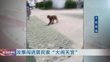DƬ